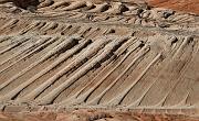 Vermilion Coyote Buttes North  5247a